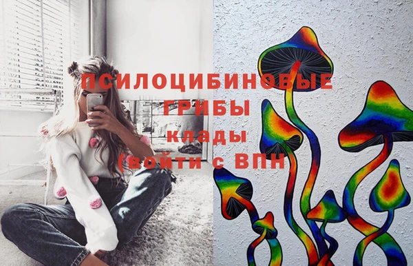 а пвп мука Аркадак