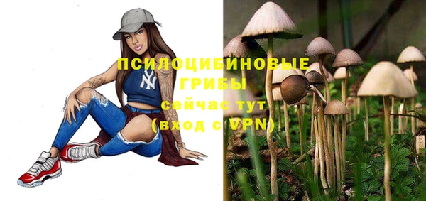 а пвп мука Аркадак